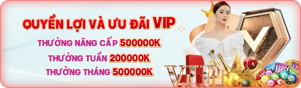 Quyền lợi và ưu đãi vip tại 888to